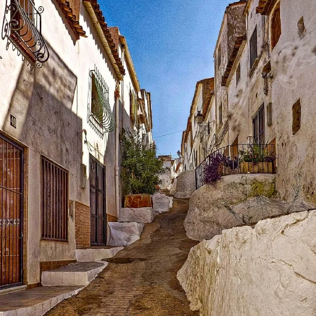 Mudanza en Oliva